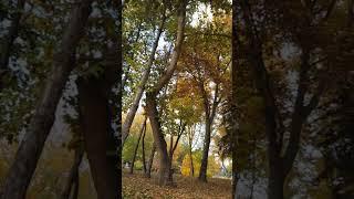 Autumn in Tashkent 3 Center-5 #tashkent #travel #park #autumn#uzbekistan