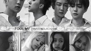 WINNER - BLACKPINK -  ‘ FOOL’