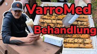 Bienenvölker Behandlung mit VarroMed