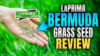 LaPrima Bermuda Grass Seed Review (Hancock Farm & Seed Company)