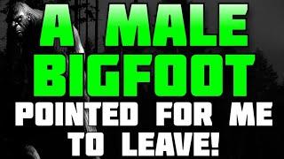 A MALE BIGFOOT POINTED FOR ME TO LEAVE!