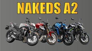 La mejor NAKED para el A2 | ¿Qué moto me compro?