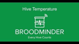 BroodMinder-TH Hive & Brood Temperature