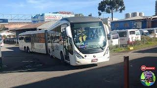 Marcopolo Viale BRT Superarticulado Scania K310IA