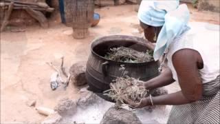 The Women’s Healers Society