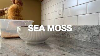 MAKE SEA MOSS