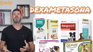 139 | REMÉDIO PARA CACHORRO E GATO COM DOR, FERIDA, COCEIRA, ALERGIA E INFLAMAÇÃO - DEXAMETASONA