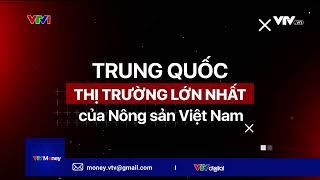 TRUNG QUỐC - THỊ TRƯỜNG LỚN NHẤT CỦA NÔNG SẢN VIỆT NAM| VTVMoney