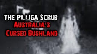 The Pilliga Scrub | Australia's Cursed Bushland