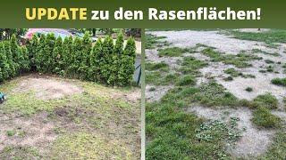  UPDATE:  So sehen die von Unkraut überwucherten und plattgedückten Rasenflächen heute aus