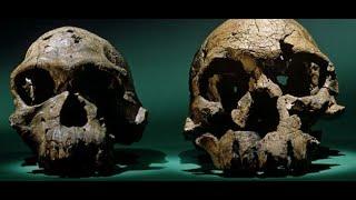 Dr. Leakey and the Dawn of Man - 1966, National Geographic Society