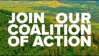 Towards Net Zero: Join Our Newest Coalition of Action