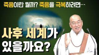 [법륜스님의 세상보기] 사후세계가 있을까요?