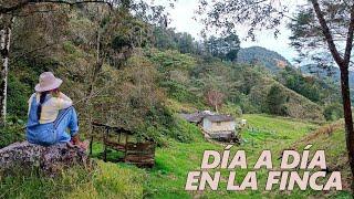 MIS DÍAS VIVIENDO en una FINCA de 5 HECTÁREAS │Candy Bu