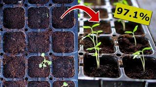 ACHIEVE 97.1% Seed Germination Rate | Seed Starting Guide