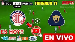 Toluca vs. Pumas en vivo, donde ver, a que hora juega Toluca vs. Pumas Liga MX Apertura 2024 resumen