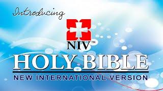 NIV Bibles - The Bible Society of India