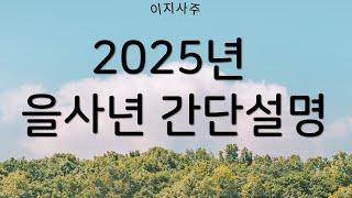 2025년 을사년 간단설명