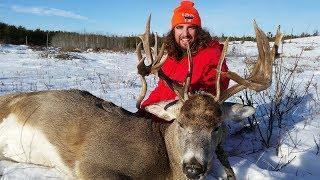 Three year whitetail obsession - BIG GAME FILMS