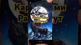  Не Задавай Вопросов... Карты Таро Покажут Сами!