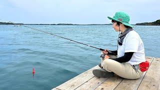 An Attempt to Catch a Giant Bigfin Reef Squid Using Float Fishing.