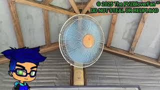 16" Hanabishi Summer Wind Wall Fan SW16WF| The PVZBloverFan ™