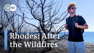 Rhodes: Is Tourism Back to Normal After the Wildfires on the Greek Island?