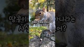 땅콩이 견과류가 아니라고? #상식 #지식 #재미정보 #30초정보 #30초지식