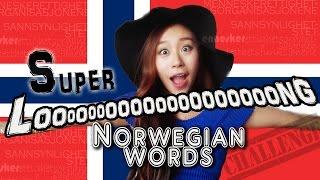 Norwegian Language Challenge I Super Long Words !