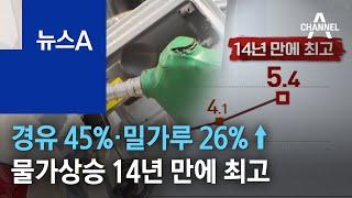 경유 45%·밀가루 26%↑…물가상승 14년 만에 최고 | 뉴스A