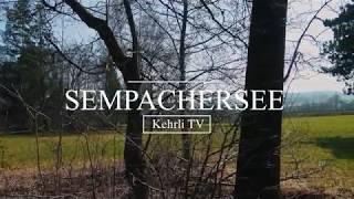 Lake of Sempach in Spring