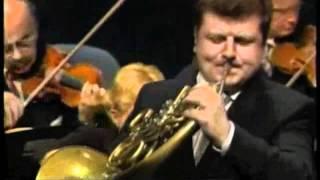 Mozart 1st French Horn Concerto Shreds