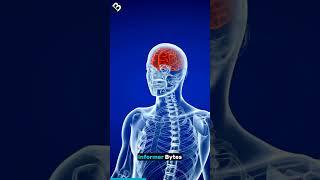 10 Mind Blowing Facts about Human Brain
