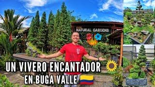 Vivero NATURAL GARDENS en BUGA Valle del Cauca 