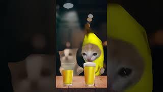 BANANA CAT GETS DRUNK  (WITH HAPPY CAT) #funny #catmemes #bananacat #happycat #shorts