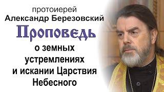 О земных устремлениях и искании Царствия Небесного (2024.11.29). Прот. Александр Березовский