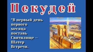 Недельная глава Пекудей