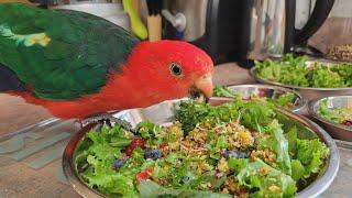 So Yummy Parrot Chop Recipe