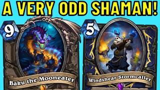Infinite Taunt Totems?! Odd Shaman is Better Than EVER!