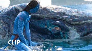 Avatar : Way Of Water : Lo'ak Meet Tulkun : Smile 