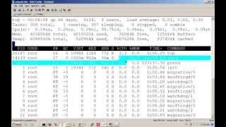 linux performance tuning commands, uptime,top,mpstat,iostat,vmstat ,free,ping,Dstat  Tutorial