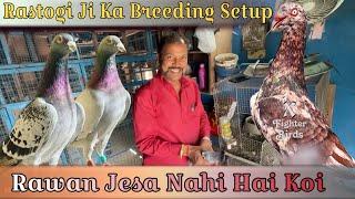 Rastogi Ji Ka Breeding Setup | X Fighter Birds