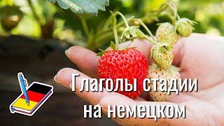 Глаголы стадии на немецком | Разговорные фразы на немецком | Немецкий Блокнот