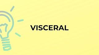 What is the meaning of the word VISCERAL?