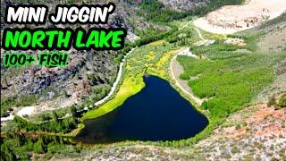 Mini Jig Trout Fishing | North Lake | Bishop California