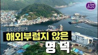 [오마이언니TV] 영덕 죽도산 전망대 다녀왔어요. 영덕에 가시면 죽도산전망대 꼭 추천드려요.