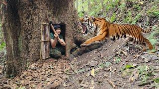 Build a shelter deep inside a tree, escape the clutches of a wild tiger, green forest, survival