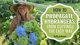 How To Propagate Hydrangeas From Cuttings the Easy Way