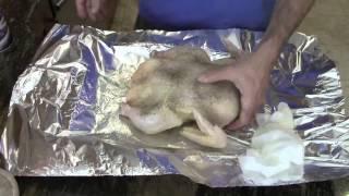 Cooking Poultry In An Underground Oven