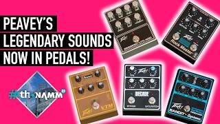 NEW Peavey pedal preamps and Musician amp | #ThoNAMM25